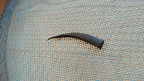穂かご