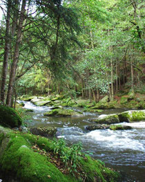 Waldnaabtal