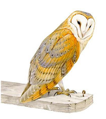 http://homepages.abdn.ac.uk