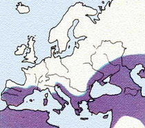 www.ittiofauna.org