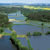 Teichpfanne Tirschenreuth Erlebniswochen Fisch