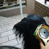 テルミースコープに牛乳パック保護カバー Genkinotubo ページ