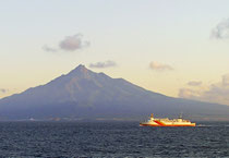 写真7