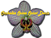 Logo Orchihidée Seine Saint Denis