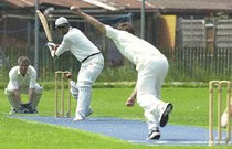 Swiss cricket in action