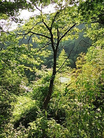 あきる野市 鍼灸院