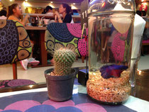 Fisch im Glas