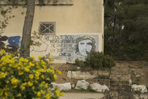 Che
