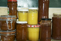 pumpkin marmalade, lemon curd & BBQ sauce