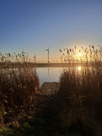 Community het gouden pad