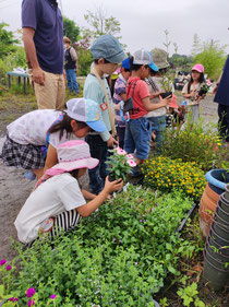6月