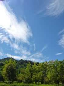 <すっかり秋空>