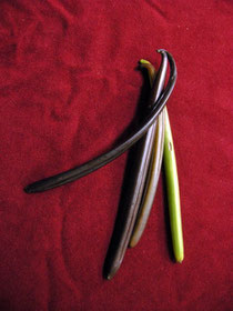 http://jp.fotolia.com/id/31608447 © Marek Kosmal