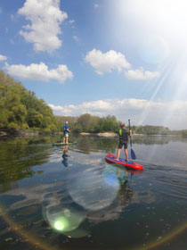 Paddeltour mit dem SUP auf dem Otterstädter Altrhein