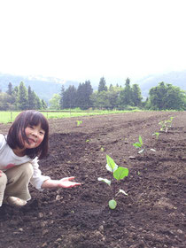 私も植えたよ♪