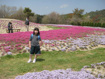 好きなのはうす紫の芝桜