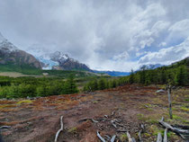 Abschiedstour durch den Parque Nacional Glaciares - Glacier Piedro Blanco und der Blick Richtung Chile