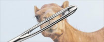 Camel durch Nadelöhr