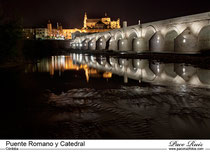 Puente romano