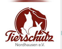 Zwergkaninchen
