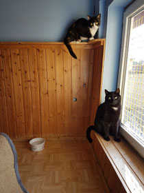 Resi & Gismo