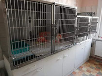 Quarantäne