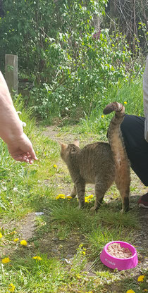 Mütterchen wieder im Zuhause ;April 2019