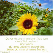 Räuchermischungen komponieren 🧡💛💚 im Oktober