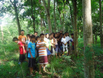 CFP Forest at the back of Kapirpiriwan Elementary School where children love to spend their break time