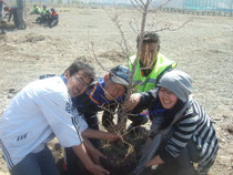 Students planting trees