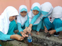 Children making liquid fertilizer