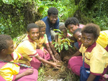 Planted 100 trees in November, 2010
