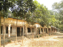 Trees giving shade to the classrooms