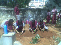 Girls planting trees