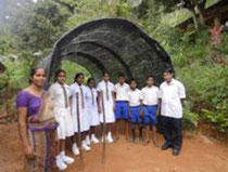 Net house made by children