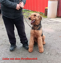 Luna von dem Forellenteich 