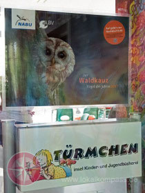 Waldkauz im Türmchen