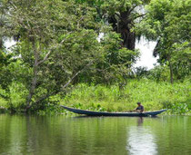 Warao delta orinoco