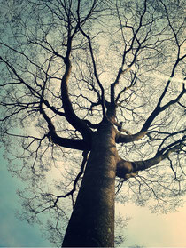 "Stand tall"