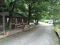森林公園で