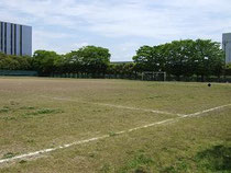 主要会場(住友電工G)