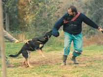 Claudio Silvestrini e Ras