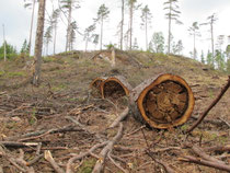 Risveden riksintresse för friluftsliv och naturvård!