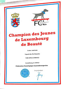 Champion Luxemburg 