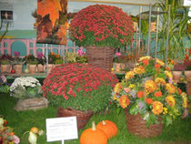 In der Blumenhalle