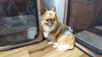 卒業致しました!