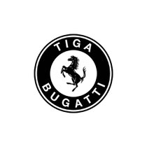 Tiga's Bugatti | justaweemusicblog.com