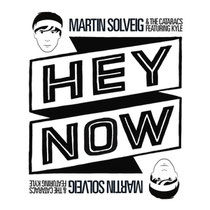 Martin Solveig | Hey Now