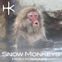 Hideo Kobayashi