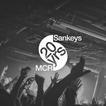 Sankeys